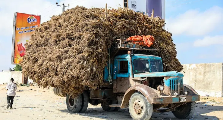 how long do tires last